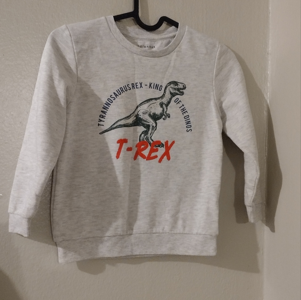 T-Rex boy sweatshirt